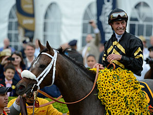 Stevens to Lead 'World' Team in Shergar Cup Stevens to Lead 'World' Team in Shergar Cup
