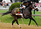 Lukas Duo Confirmed to Run in Belmont Stakes Lukas Duo Confirmed to Run in Belmont Stakes