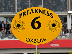 Overnight TV Ratings Tick Up for Preakness Overnight TV Ratings Tick Up for Preakness