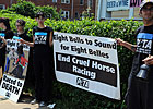 PETA Demonstrates Outside Pimlico Gates PETA Demonstrates Outside Pimlico Gates