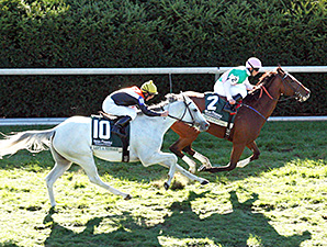 Preferential Squeezes Out Dowager Victory Preferential Squeezes Out Dowager Victory