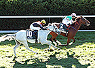 Preferential Squeezes Out Dowager Victory Preferential Squeezes Out Dowager Victory