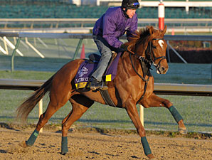 Pachattack Sells for $1.2 Million at F-T Pachattack Sells for $1.2 Million at F-T