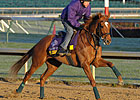 Pachattack Sells for $1.2 Million at F-T