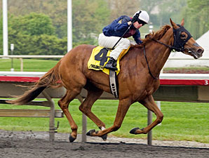 Pachattack Gobbles Foes in Arlington Matron Pachattack Gobbles Foes in Arlington Matron
