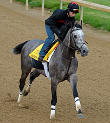 Paddy O'Prado Tops Colonial Turf Cup Field Paddy O'Prado Tops Colonial Turf Cup Field