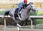 Paddy, First Dude Work for BC Classic