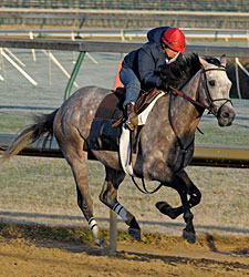 Busy Day on the Track at Churchill Downs Busy Day on the Track at Churchill Downs