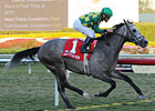 Kentucky Derby Trail: Paddy Cake