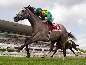 Paddy O'Prado Gets Grade I in Secretariat Paddy O'Prado Gets Grade I in Secretariat