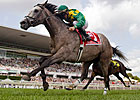 Paddy O'Prado Gets Grade I in Secretariat Paddy O'Prado Gets Grade I in Secretariat