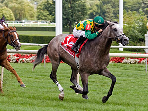 Paddy O'Prado to Miss 'Paddy O'Prado Day' Paddy O'Prado to Miss 'Paddy O'Prado Day'