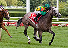 Paddy O'Prado to Miss 'Paddy O'Prado Day' Paddy O'Prado to Miss 'Paddy O'Prado Day'