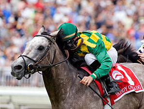 Paddy O'Prado to Spendthrift Paddy O'Prado to Spendthrift