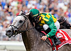 Paddy O'Prado to Spendthrift