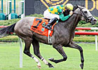 Paddy O'Prado Too Tough In Va. Derby Paddy O'Prado Too Tough In Va. Derby