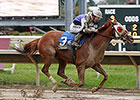 Stakes Winner Page McKenney Aims for Jewel Stakes Winner Page McKenney Aims for Jewel