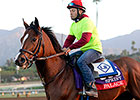 Palace Carries New York Hopes Into BC Sprint Palace Carries New York Hopes Into BC Sprint