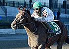 Rice Plots Spots for Palace; Gravesend Next Rice Plots Spots for Palace; Gravesend Next