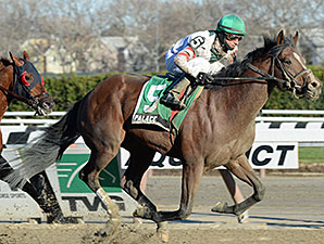 Palace Rules Fall Highweight Handicap Palace Rules Fall Highweight Handicap