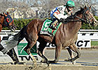 Palace Rules Fall Highweight Handicap Palace Rules Fall Highweight Handicap