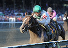 Palace Dazzles in Speedy Forego Triumph Palace Dazzles in Speedy Forego Triumph