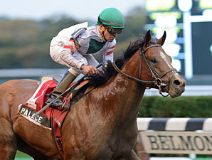 Palace Faces Distance Issue in General George Palace Faces Distance Issue in General George