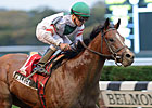 Palace Faces Distance Issue in General George Palace Faces Distance Issue in General George