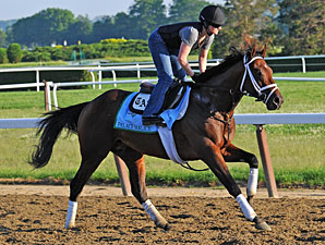 Less Blinkers, More Malice Less Blinkers, More Malice