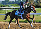 Haskin's Belmont Report: Belmont Brain Teaser Haskin's Belmont Report: Belmont Brain Teaser