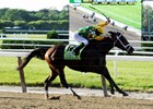Slideshow: Palace Malice's Belmont Stakes Slideshow: Palace Malice's Belmont Stakes