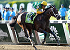Palace Malice Injured, Retired Palace Malice Injured, Retired