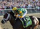 Palace Malice Tops Jim Dandy Field Palace Malice Tops Jim Dandy Field