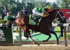Porter on Pedigrees: Palace Intrigue Porter on Pedigrees: Palace Intrigue
