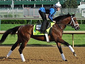 Works Help Pletcher Sort Belmont Prospects Works Help Pletcher Sort Belmont Prospects