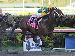 Westchester: Palace Malice Preps for Met Mile Westchester: Palace Malice Preps for Met Mile