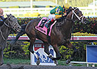 New Orleans Handicap Next for Palace Malice New Orleans Handicap Next for Palace Malice
