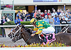 Palace Malice Targets New Orleans Handicap Palace Malice Targets New Orleans Handicap