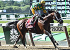 Palace Malice Brilliant in Met Mile Palace Malice Brilliant in Met Mile