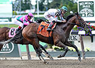 Palace Tops Belmont Sprint Championship Field Palace Tops Belmont Sprint Championship Field