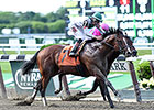 New York-Bred Palace Secures True North Upset New York-Bred Palace Secures True North Upset