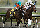 Paladin Bay Wins By a Bob in Selene Surprise Paladin Bay Wins By a Bob in Selene Surprise
