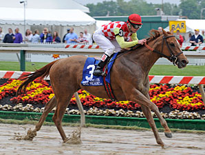 Palanka City Aces Miss Preakness Test Palanka City Aces Miss Preakness Test