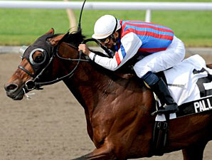 Palladio Pounces to Autumn Stakes Surprise Palladio Pounces to Autumn Stakes Surprise