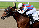Palladio Pounces to Autumn Stakes Surprise Palladio Pounces to Autumn Stakes Surprise