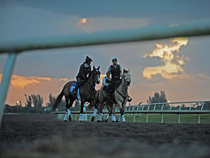 Gulfstream Park to Open Palm Meadows Gulfstream Park to Open Palm Meadows