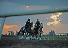 Gulfstream Park to Open Palm Meadows Gulfstream Park to Open Palm Meadows