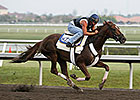 Palm Meadows to Undergo Resurfacing Palm Meadows to Undergo Resurfacing