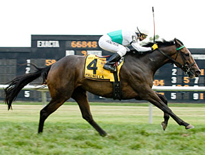 Palmilla Upsets Rosinka in Dick Handicap Palmilla Upsets Rosinka in Dick Handicap