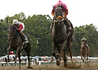 Pants On Fire Seeks Monmouth Cup Repeat Pants On Fire Seeks Monmouth Cup Repeat